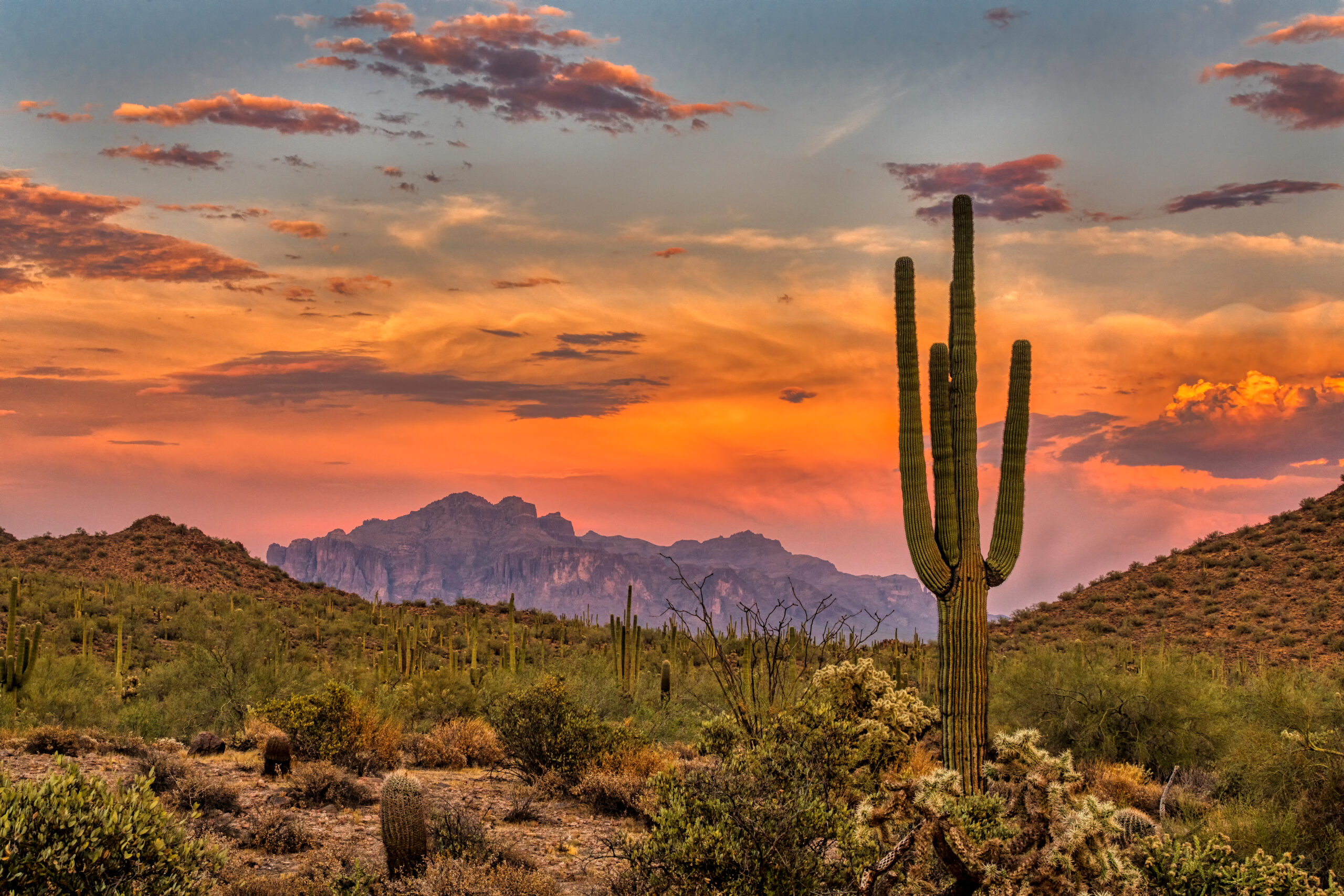 good places to visit in phoenix